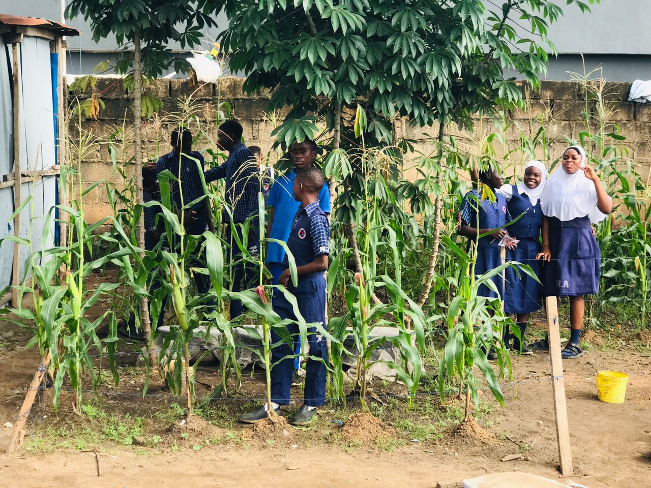 School Farm